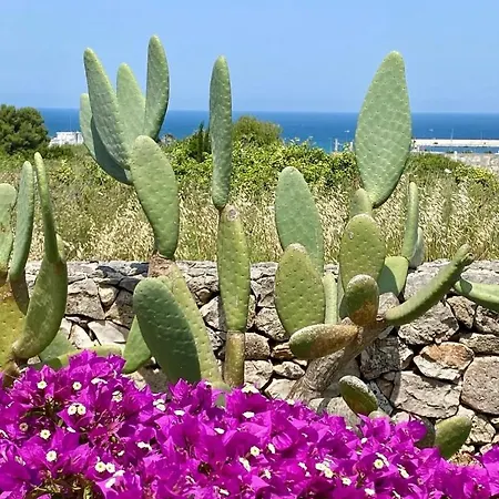 Corallo * Otranto