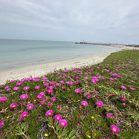 Lejlighed Corallo *